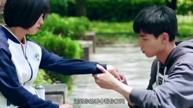 救援卷耳兔